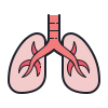 cardio respiratory physiotherapy
